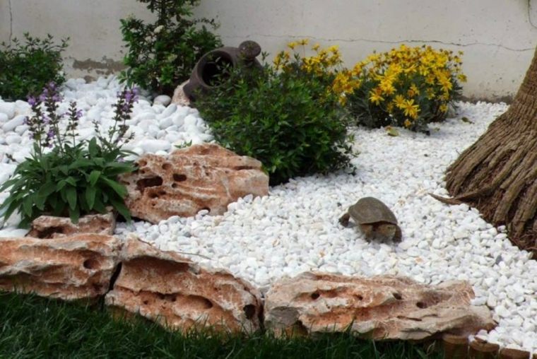 deco garden garden model with pebbles exterior design