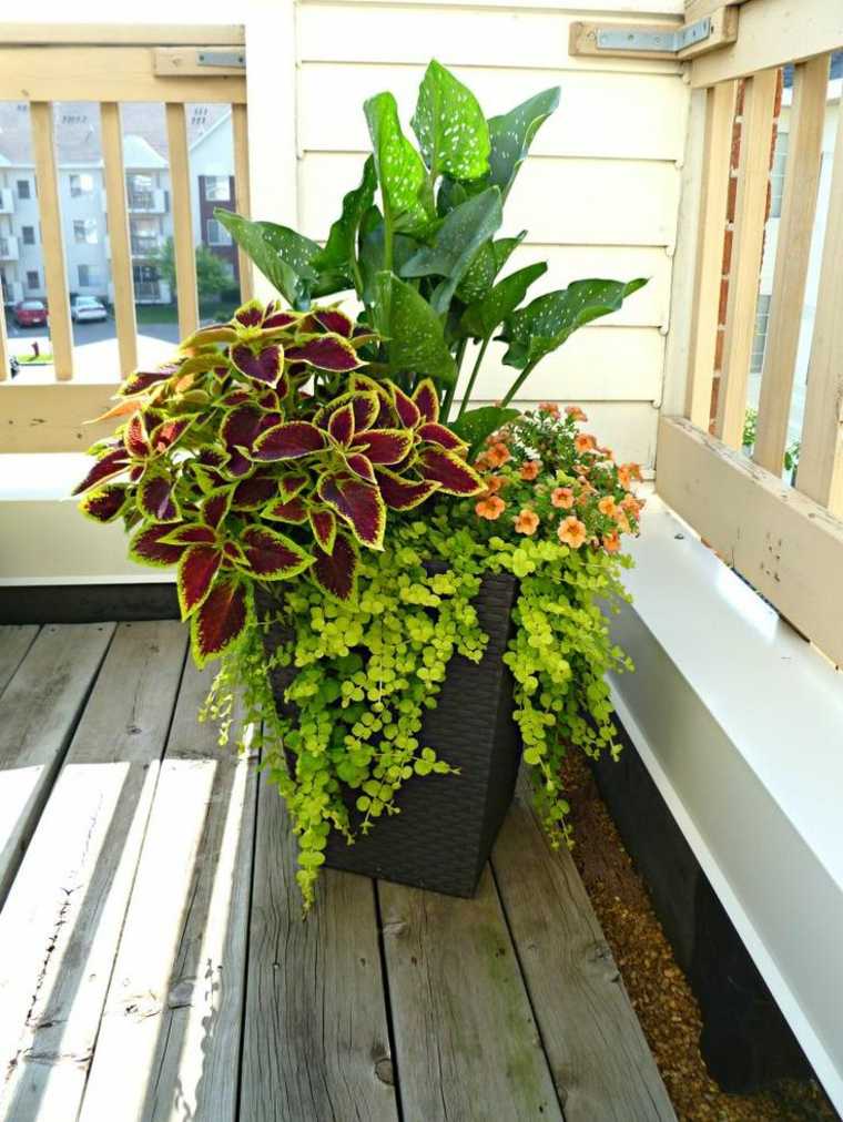 garden decoration idea plant flowers