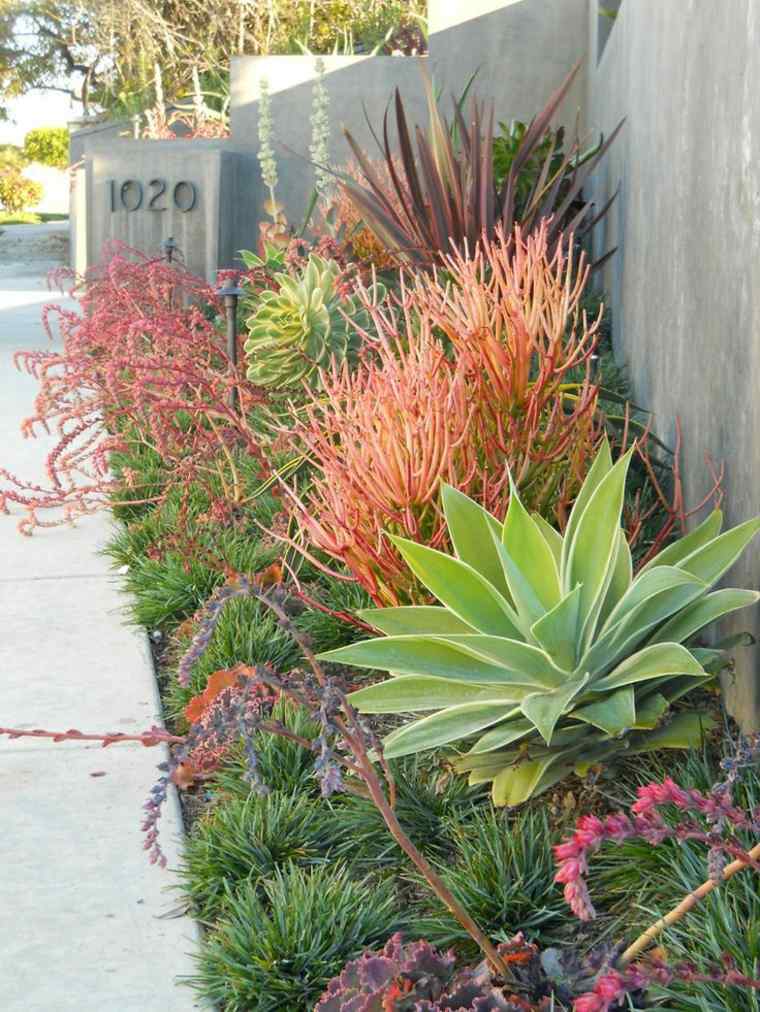 garden deco plant landscaping