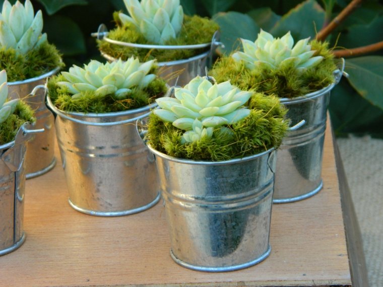 small metal pots