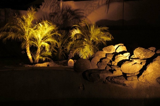 floodlights illuminate plants and rocks