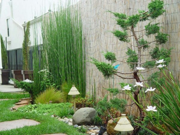 design garden partition plant