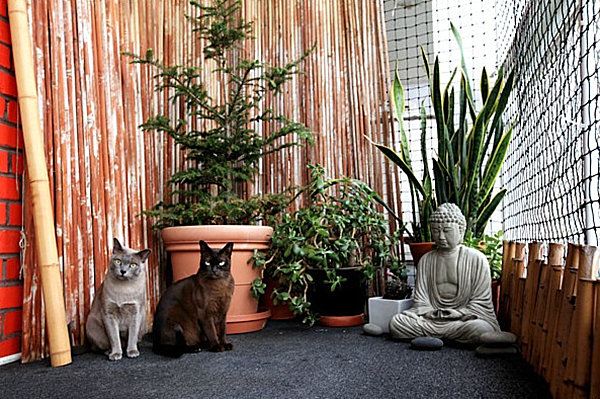 two garden cats pres buddha