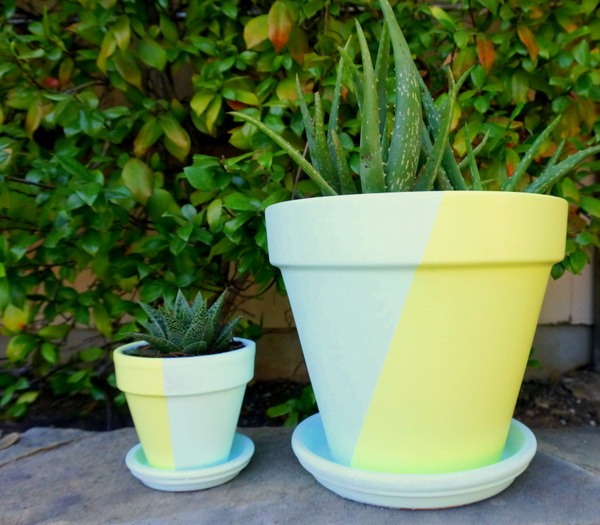 two green yellow flower pots