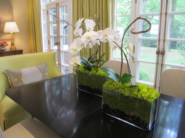 two vases glass orchidees white dining table