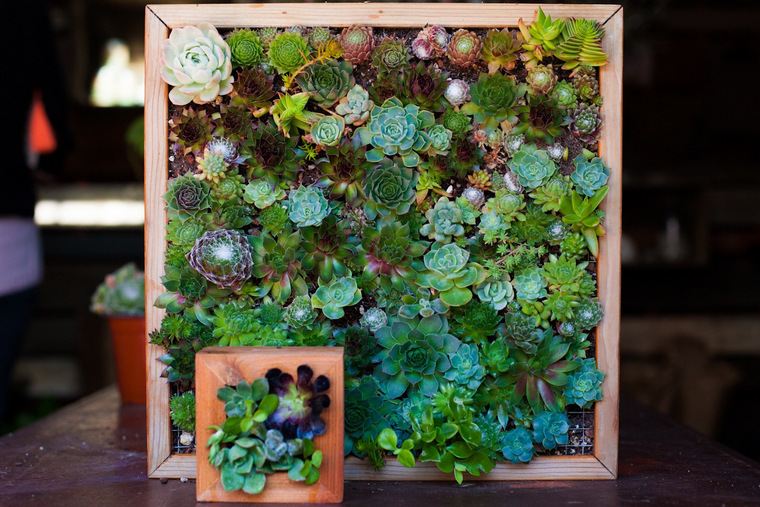 diy-frame wood-vertical-garden-ideas