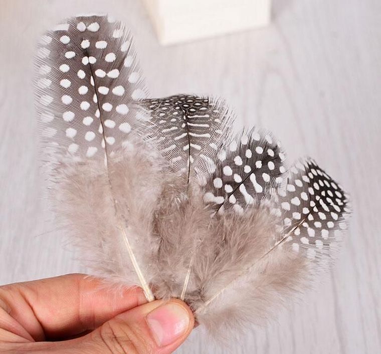 diy deco feathers interior autumnal