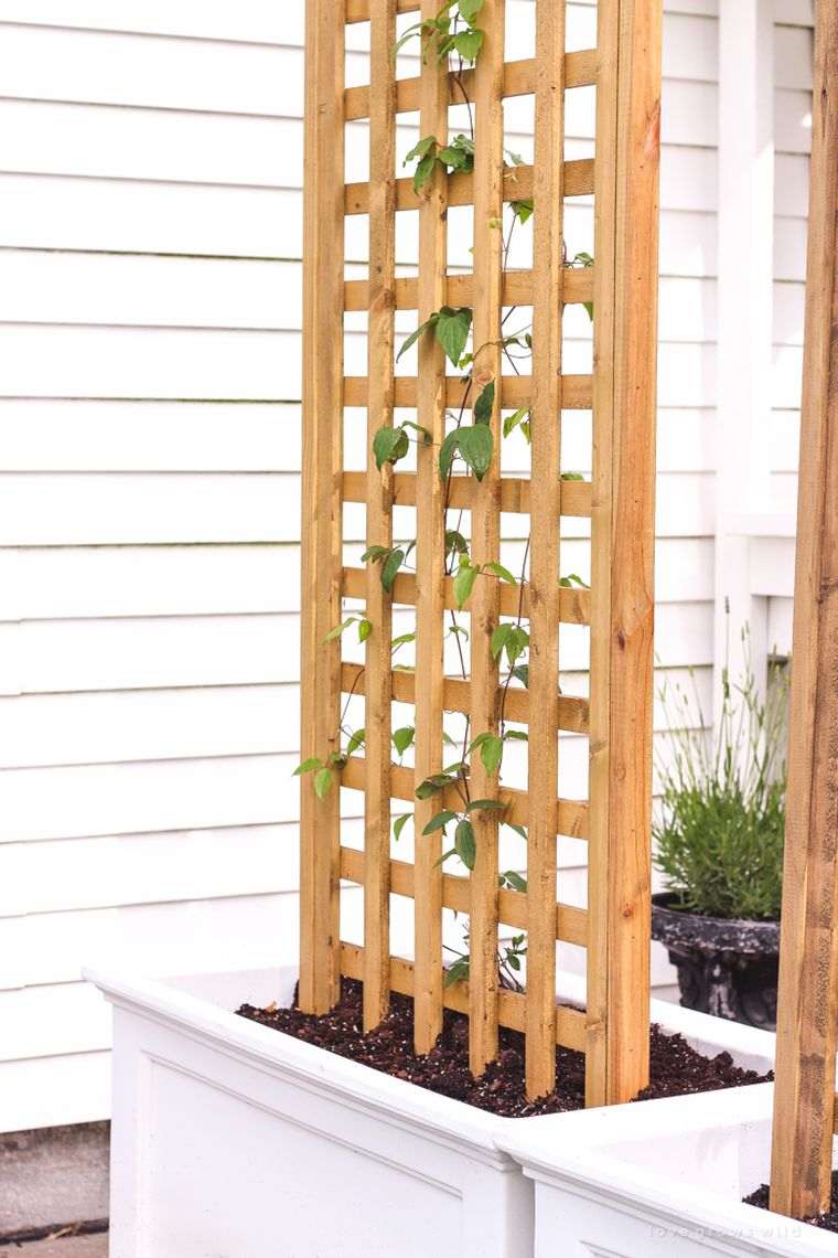 diy-gardener-with-wood-lattice-easy-tutorial