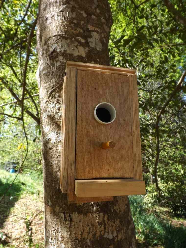 diy-house wood-squirrel