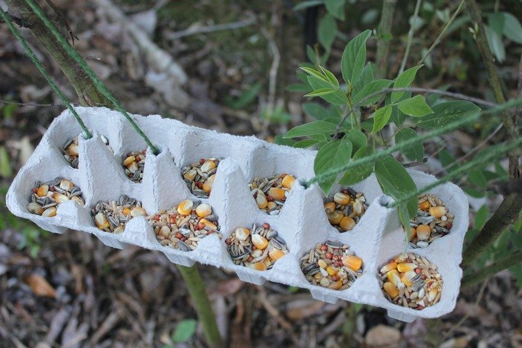 bird house to do it yourself cardboard feeder idea