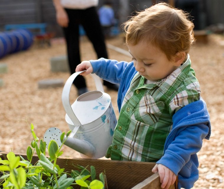 plant care plants child garden