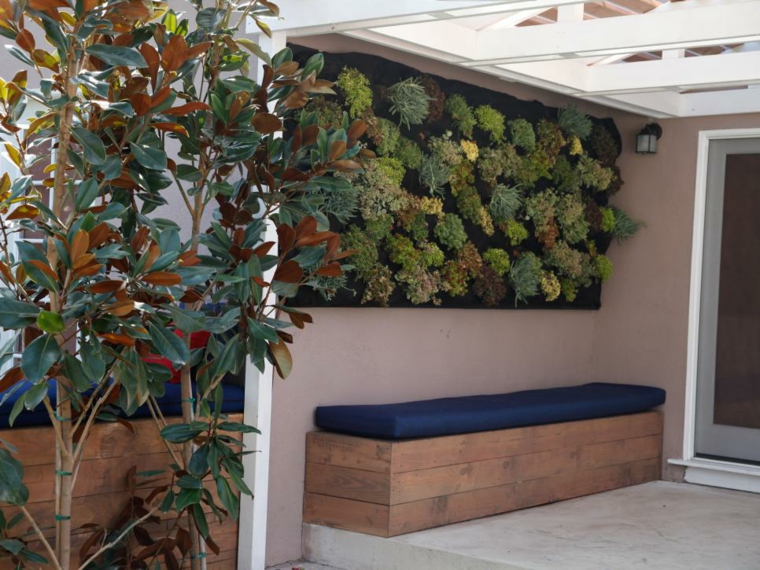 indoor plant wall idea