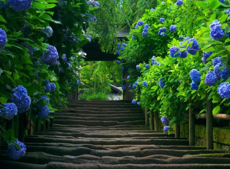 outdoor stairs garden plants stone cladding