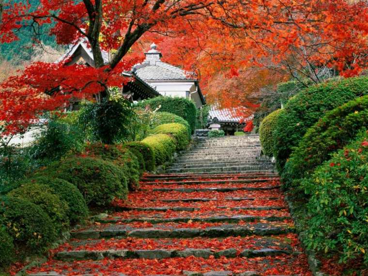 stone staircase outside garden zen