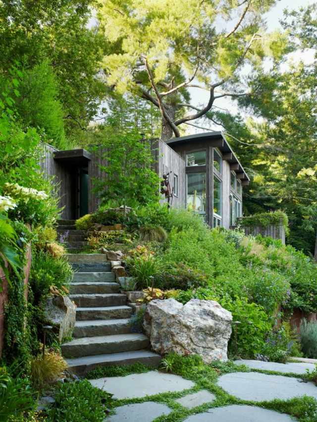 stair-slope-stone garden-green-green-cabin-wood-house-architecture-type drill