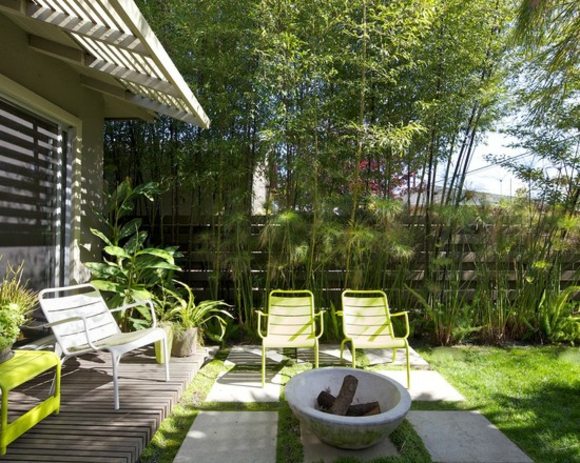 modern outdoor space bamboo