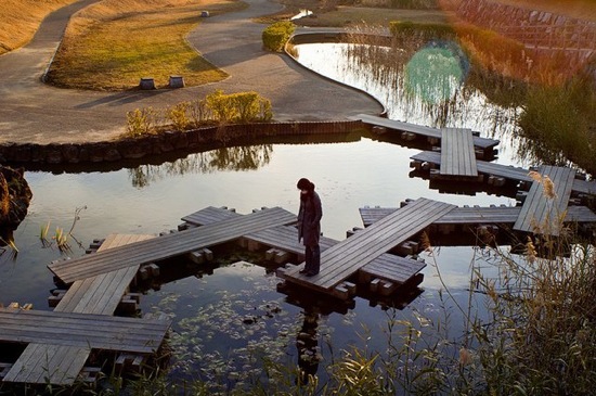 outdoor space nature wood