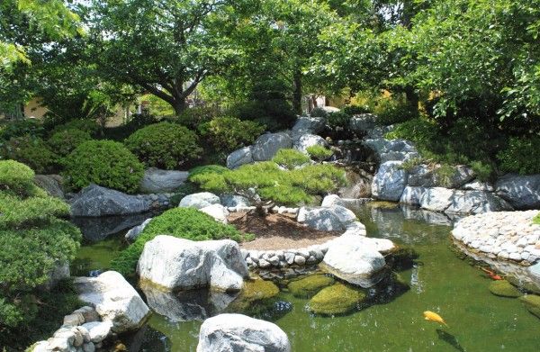 koi pond japanese garden stones