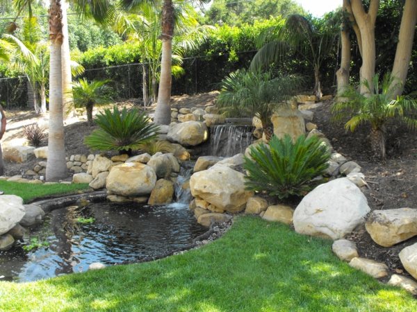 pond koi green palm trees stones