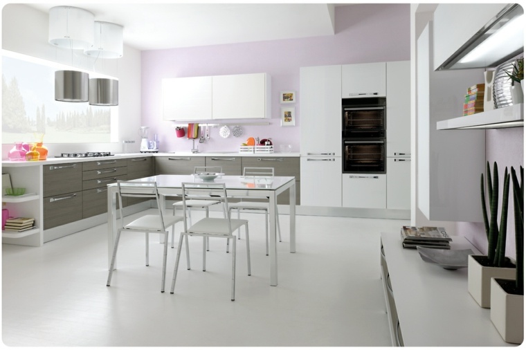 color paint kitchen design