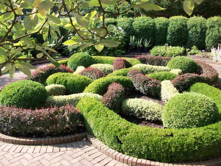 outdoor design deco topiary