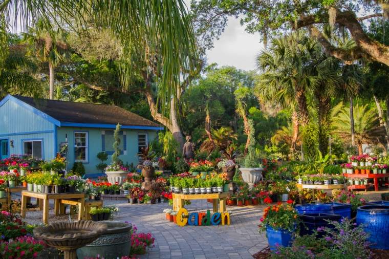 have dekorere udendørs stue haven blomster planter gryder ideer hjem træ