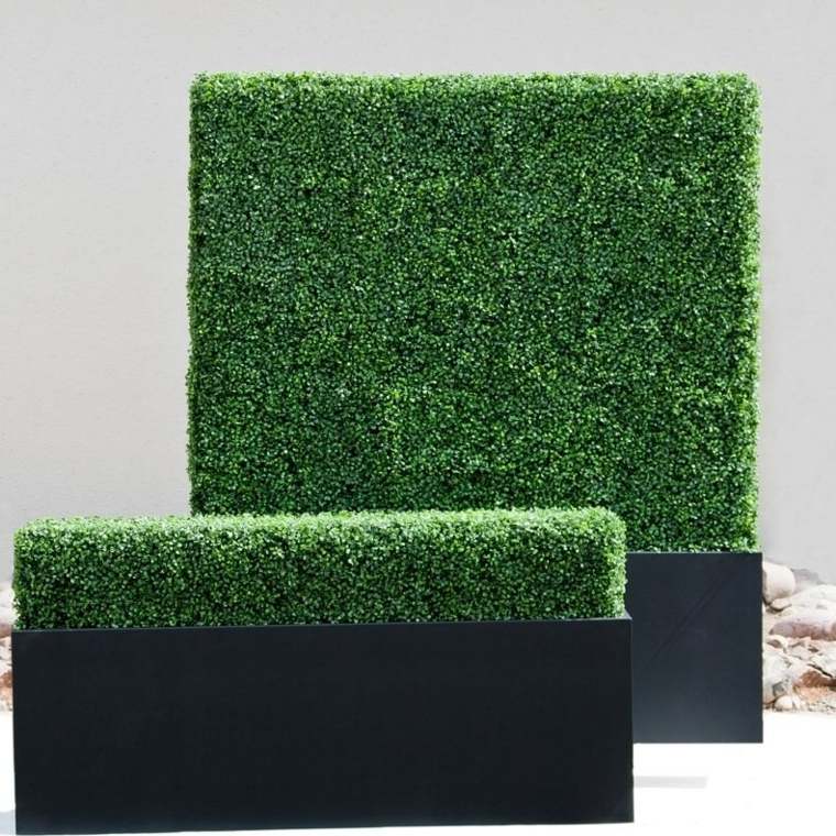 box hedges by Hooks and Lattice