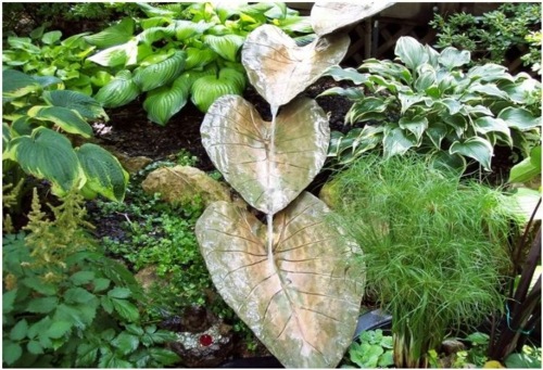 lembaran logam alocasia philodendron fountain plant