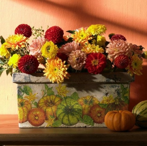 colorful flowers pot autumn