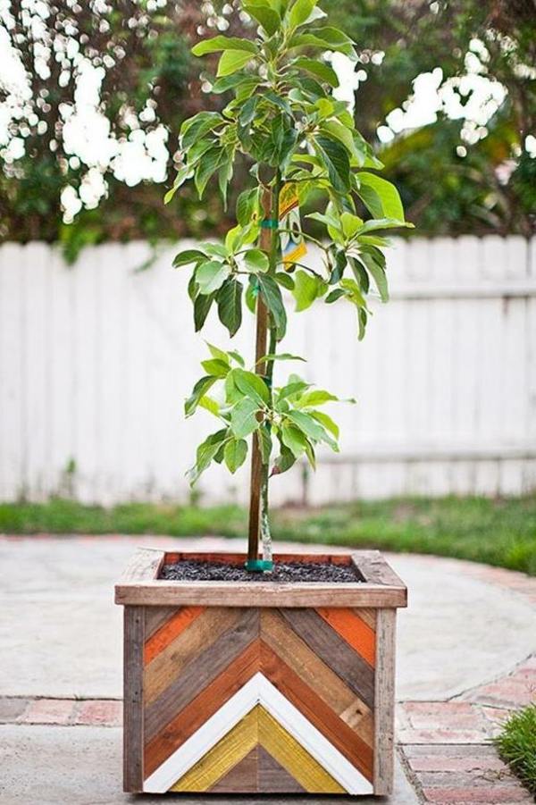 flowerpot palettes plant idea tree