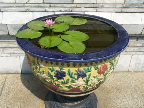 basin basin flower porcelain stone water lily