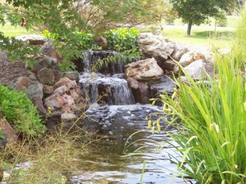 fountain garden waterfall water rock reed