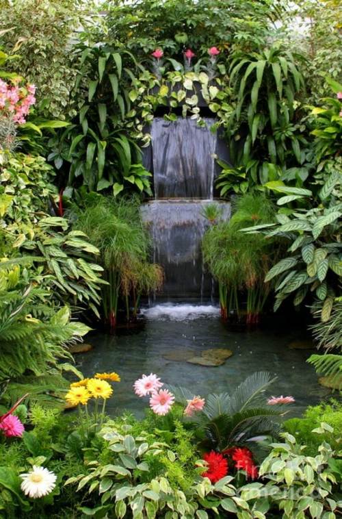 fountain garden waterfall water plant flower