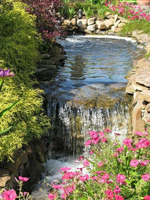 garden fountain fall water flower rose petunia