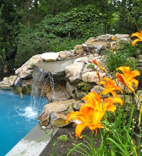 garden fountain pool orange lily