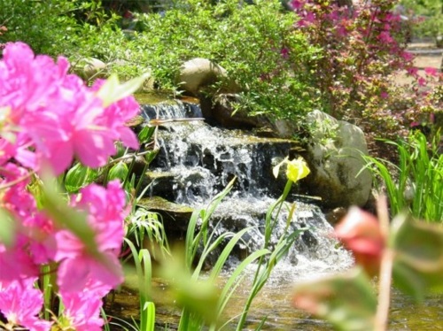 fountain garden flower pink waterfall water stream