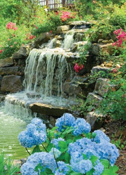 garden fountain hortense blue flower fall