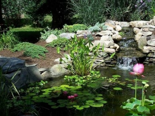 garden fountain water lily pink fall stone