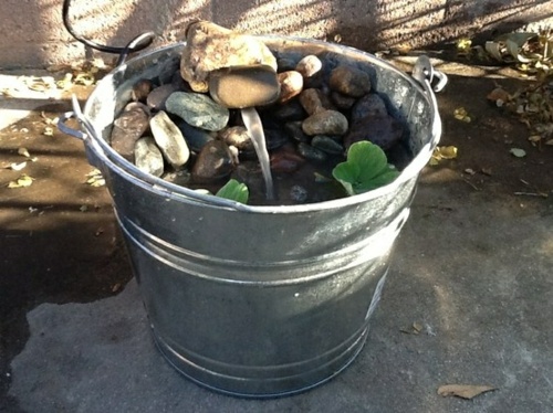 fountain bucket balcony water garden aquatic plants