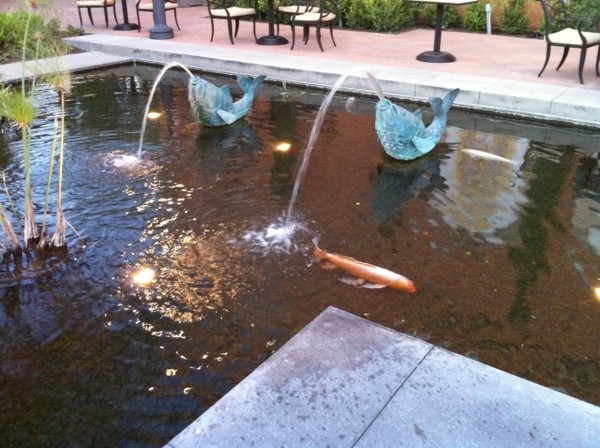 fountains design basin koi garden