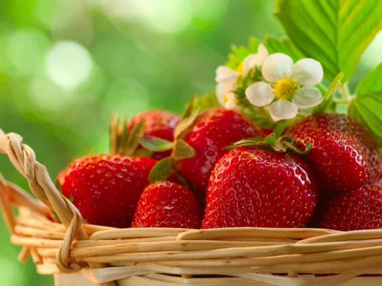 strawberry plant pot gardening