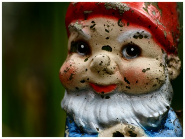 gnome garden small dwarf look malignant bearded child