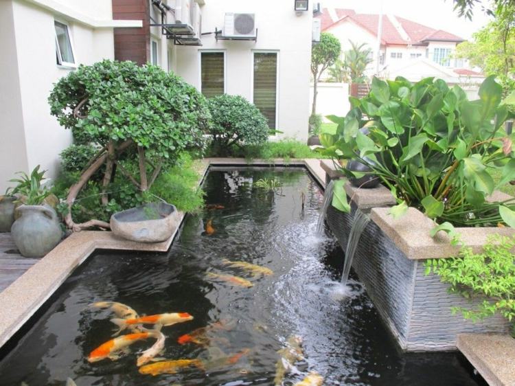 large pond garden fish