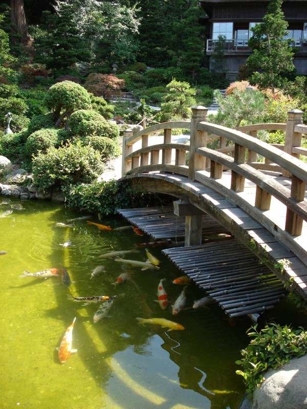 big pond japanese garden bridge