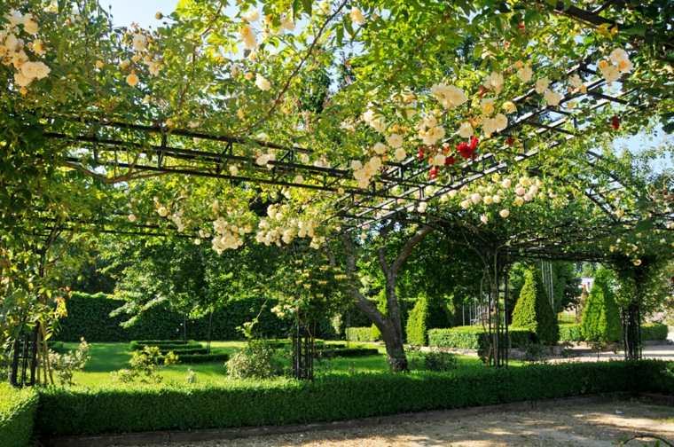 garden decoration blossoms trees