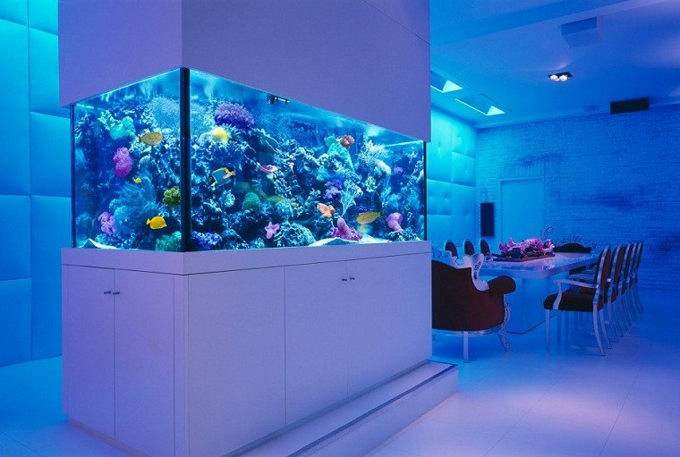 matsal stora akvarium design möbler