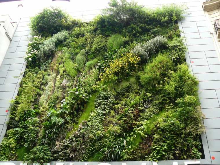 vertical garden wall idea