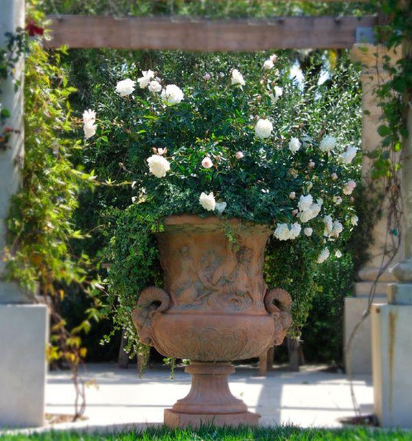 store vase terracotta planter landskabspleje