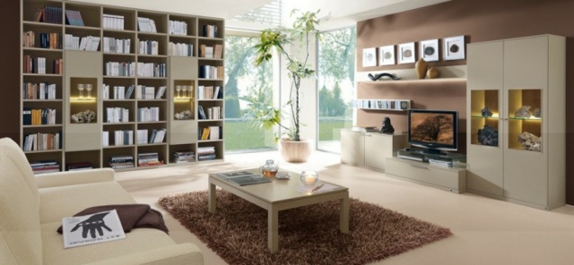 large modular library living room