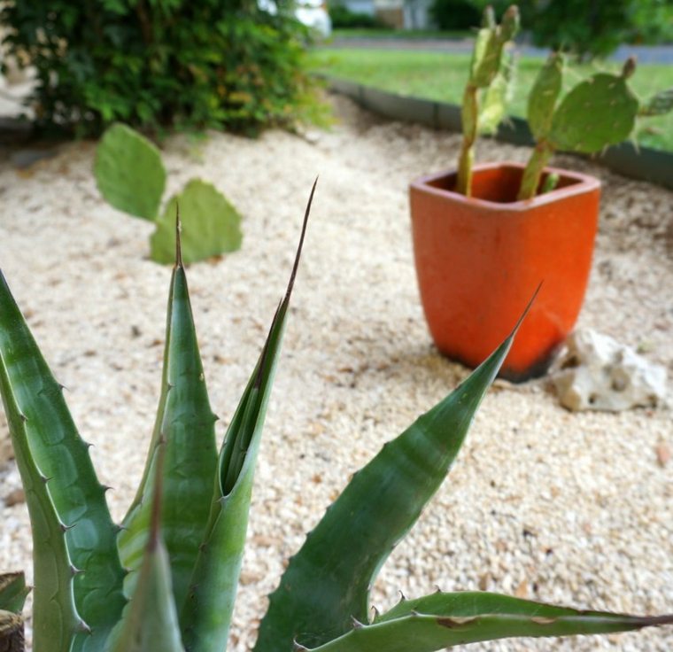 garden decoration white sand